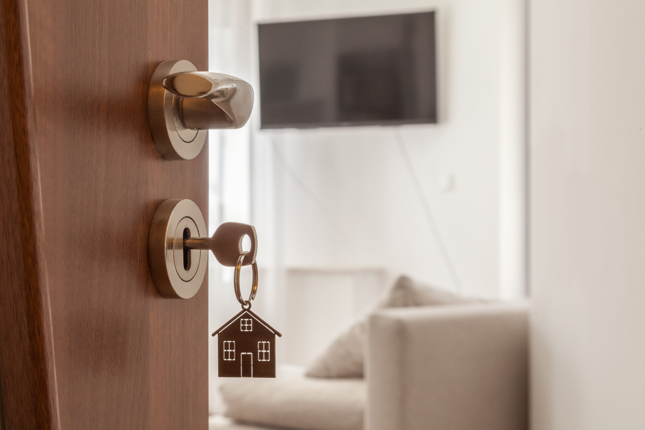 Virtual property inspections
